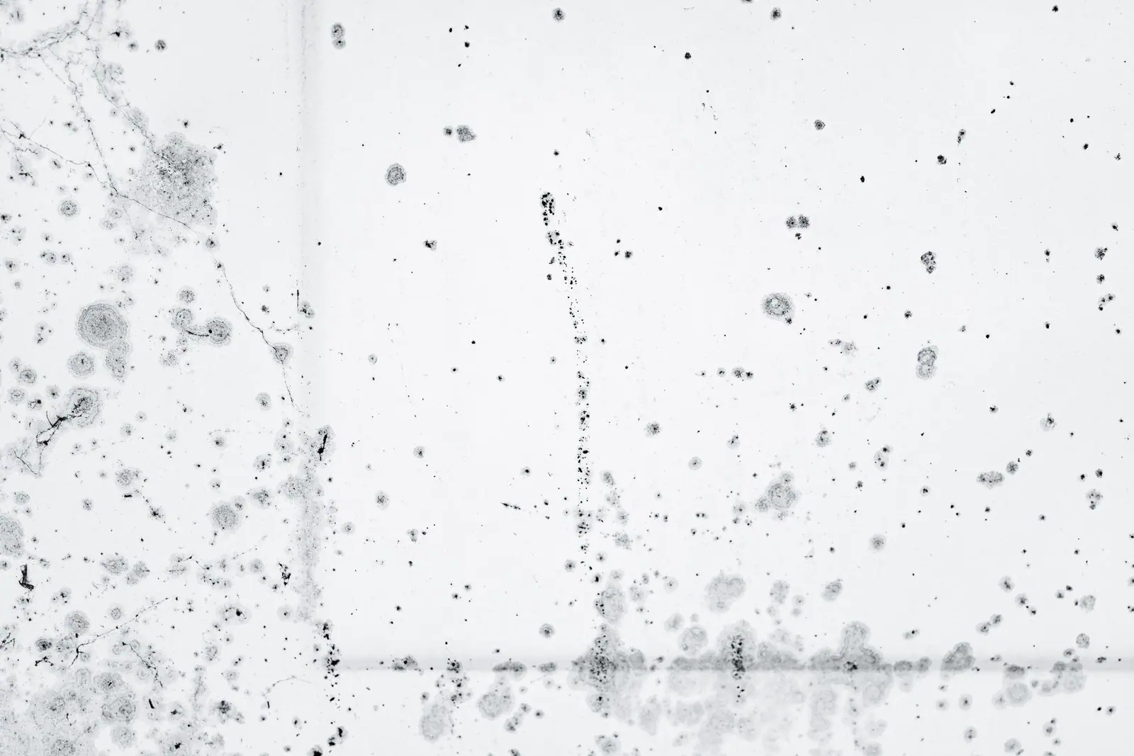 Black mould growing in the corner of a wall