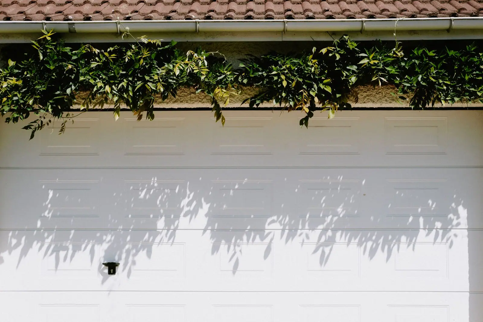 A closed white sectional garage door beneath climbing greenery