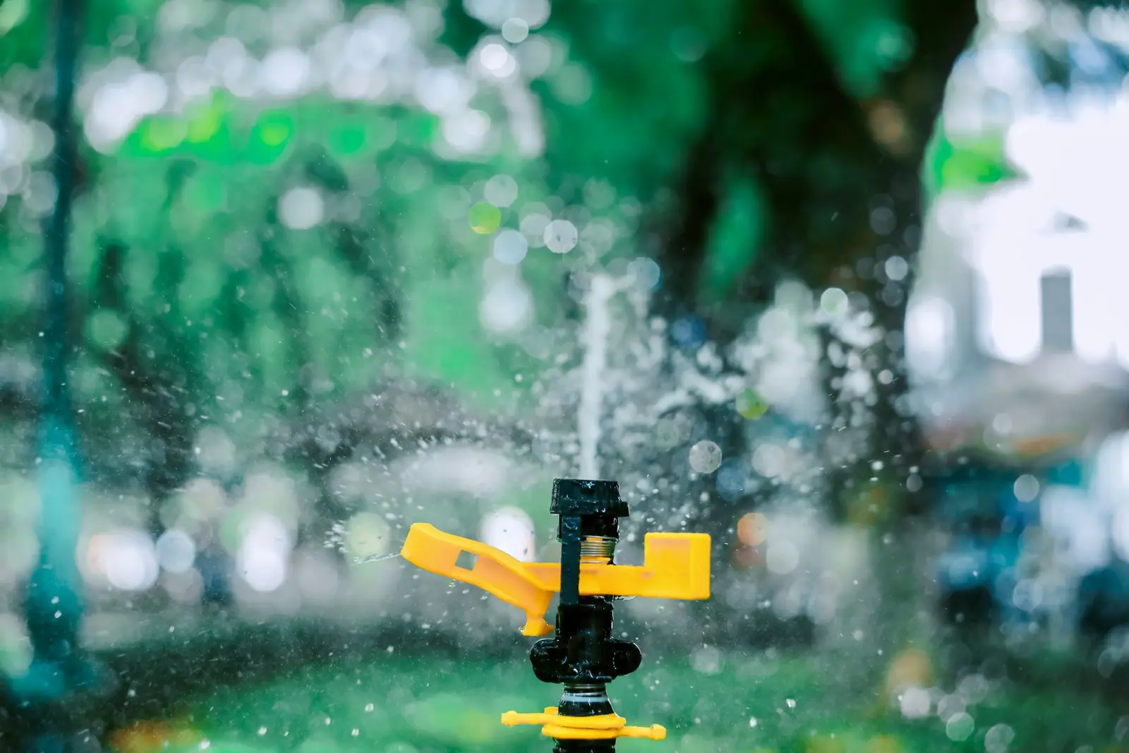 A yellow impact sprinkler throwing water across a lawn