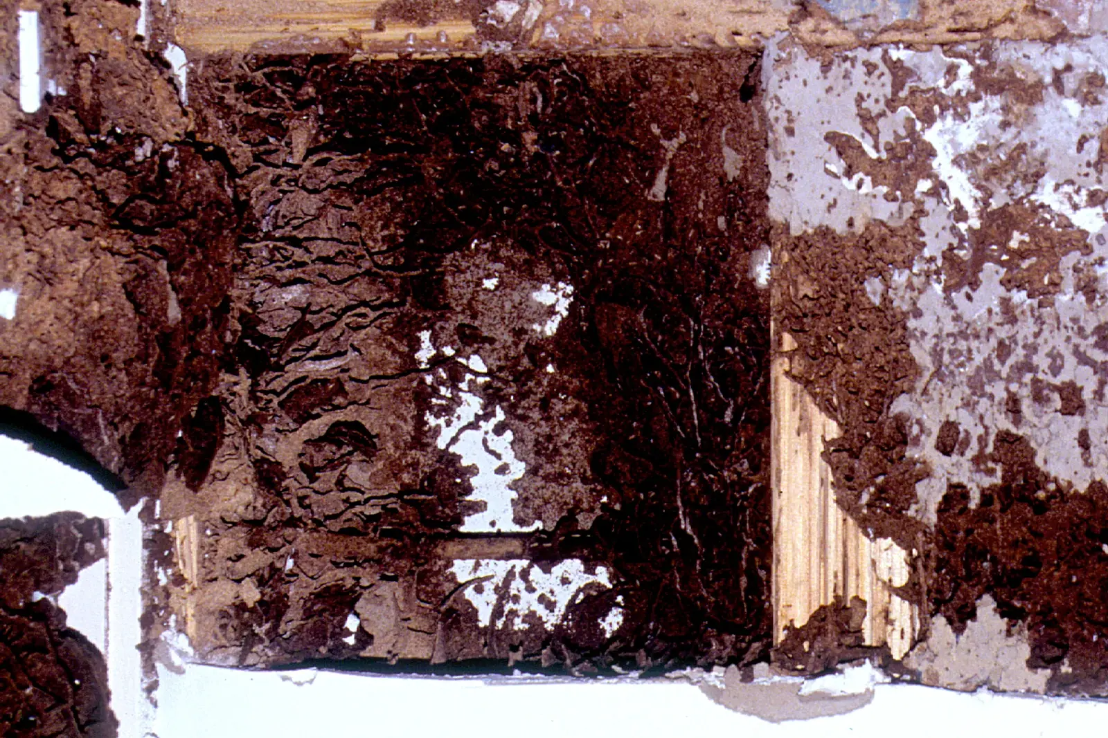 A close view of severely damaged timber in a house